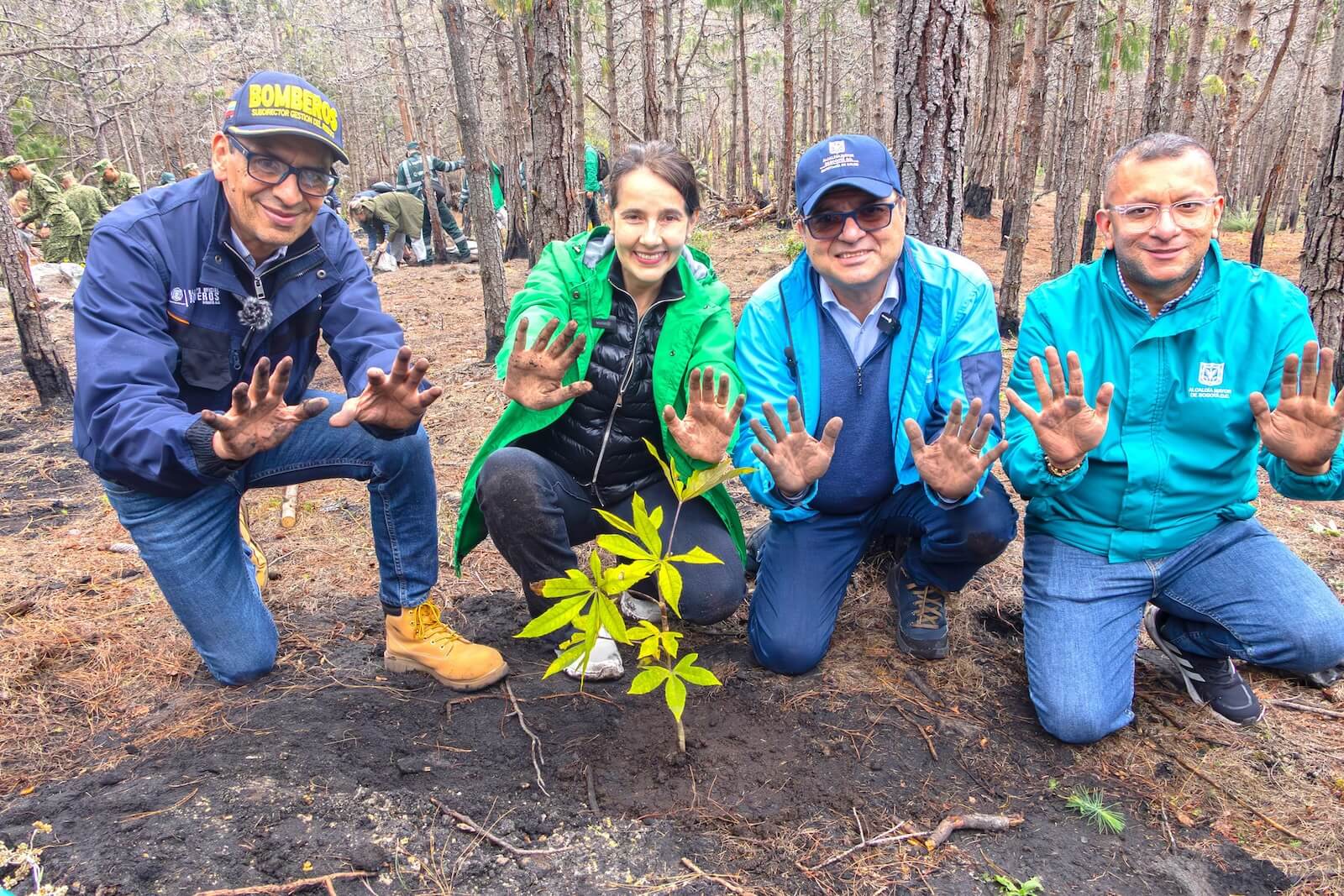 Plantación cerro el Cable
