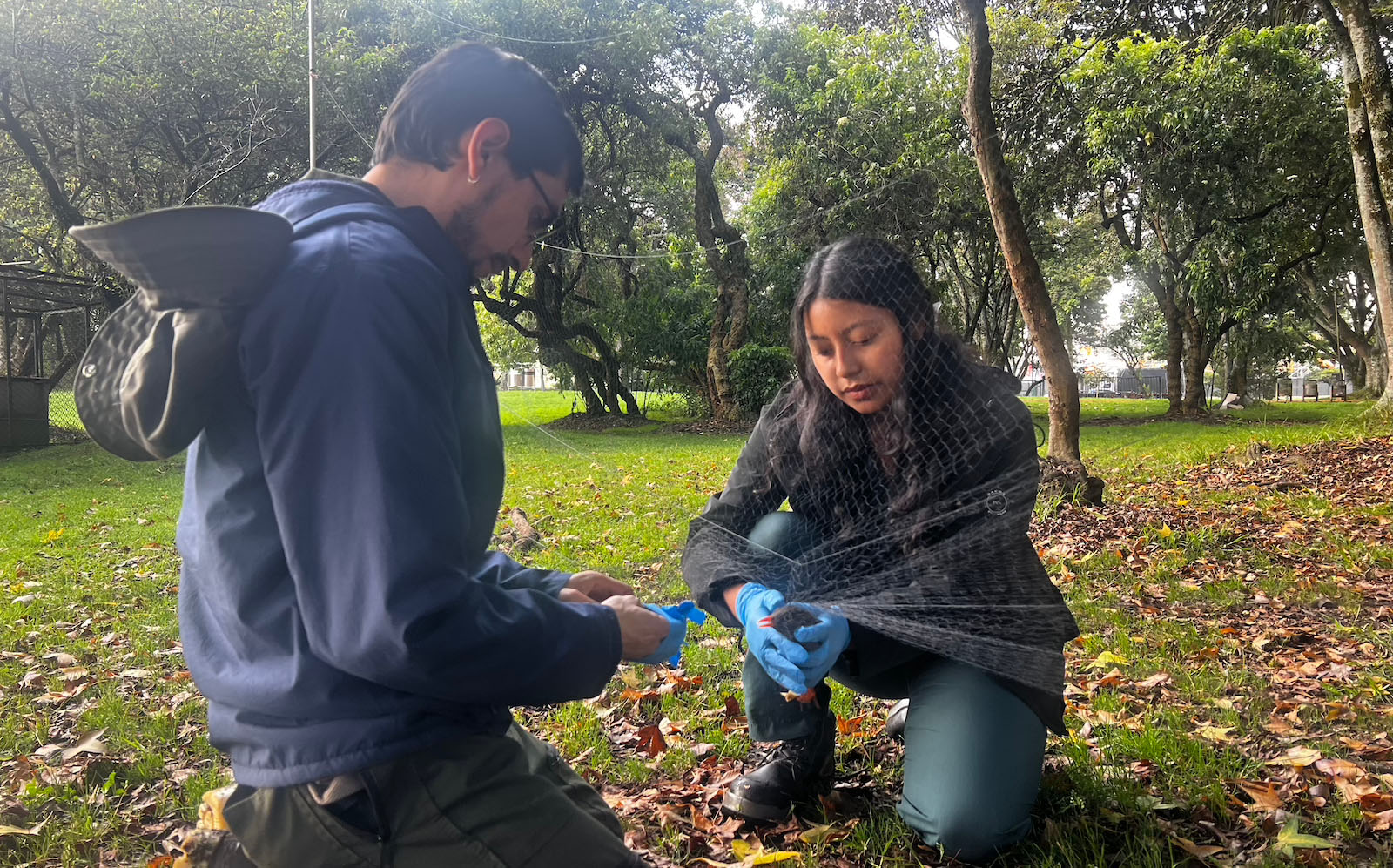 Proyecto de investigación UNAL y SDA