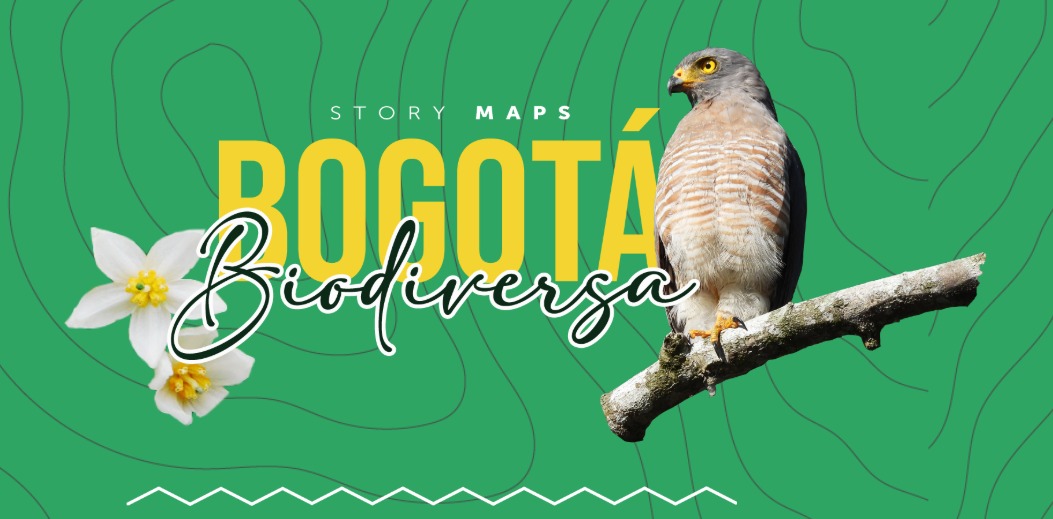 Story Maps - Bogotá Biodiversa