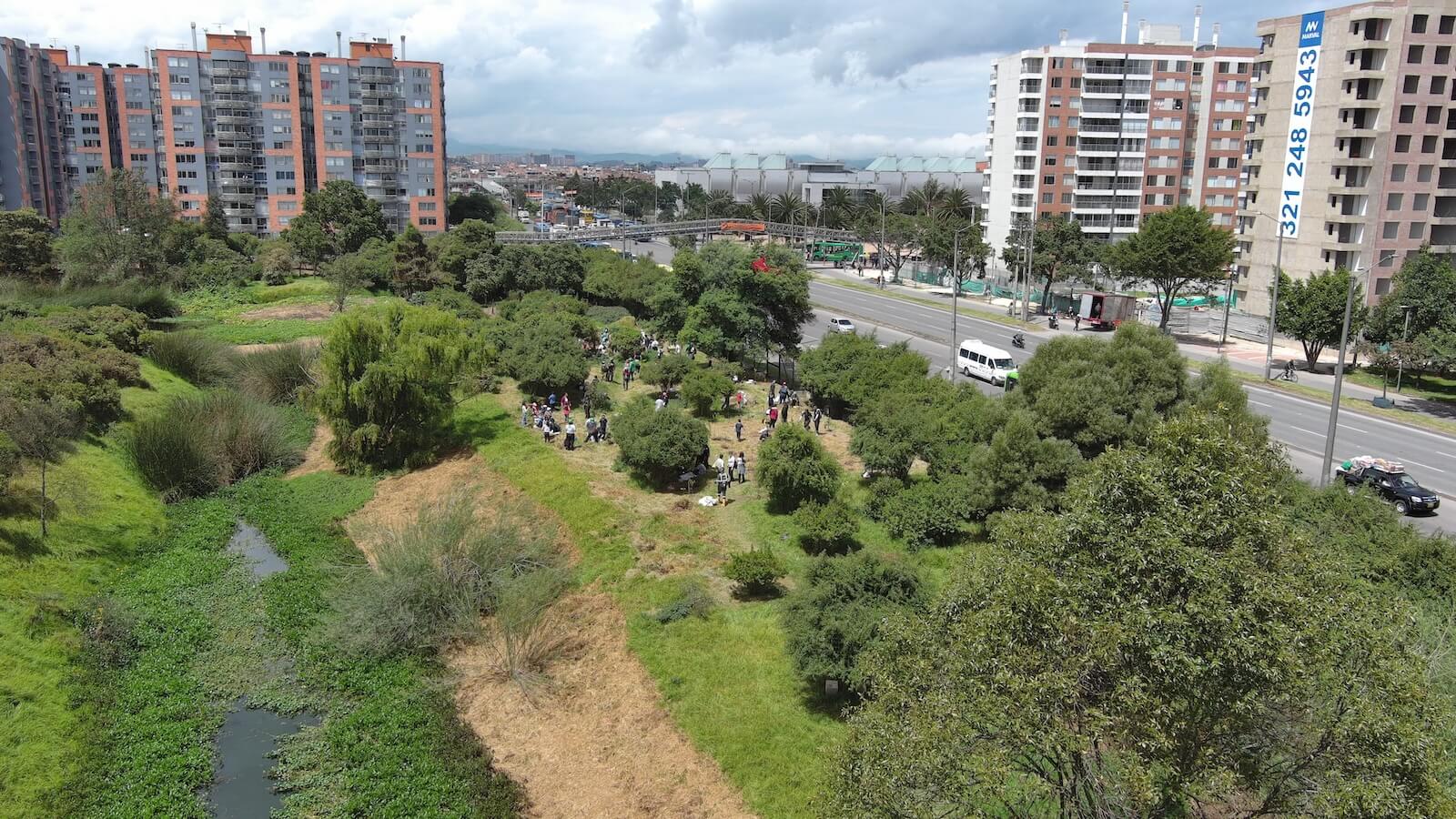 Foto: plantación Reserva Distrital de Humedal El Burro_SDA