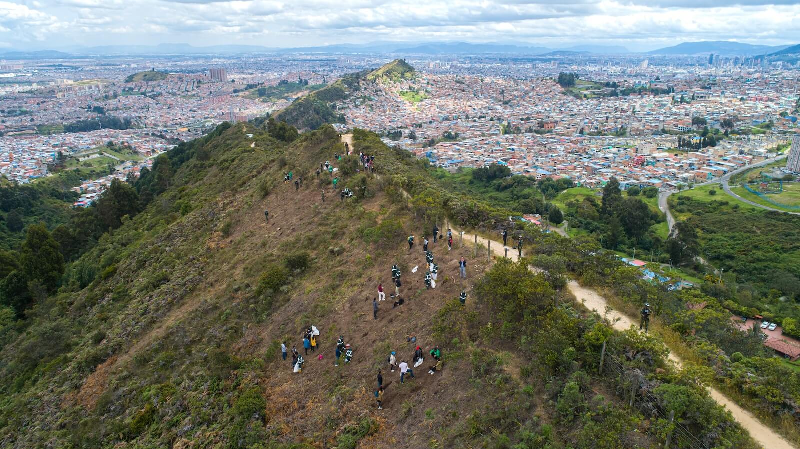 Foto: plantación en Parque Ecológico Distrital de Montaña Entrenubes_SDA