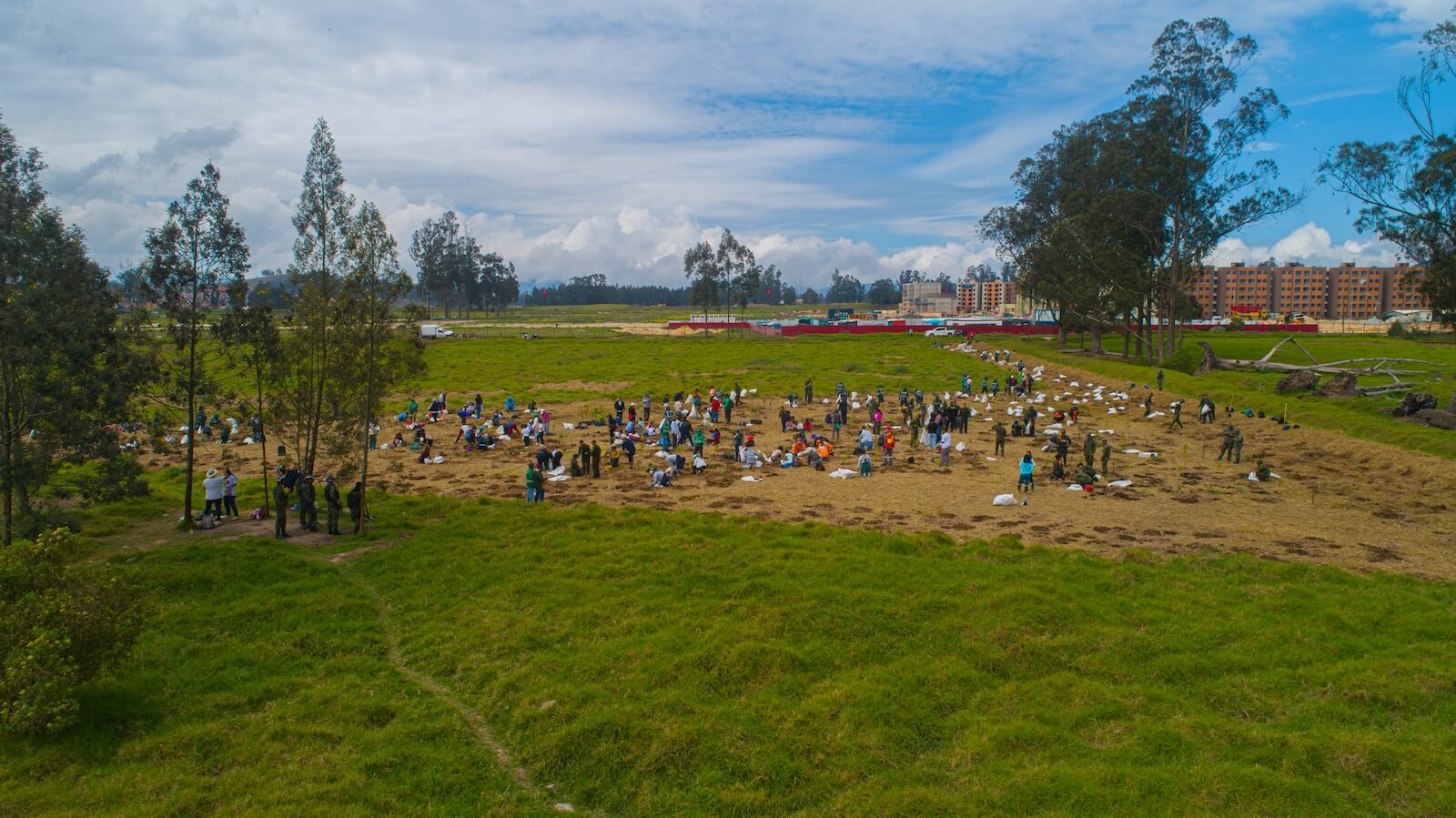 En Bogotá la restauración avanza con la siembra de 2.011 árboles nativos en la Reserva Distrital de Humedal Chiguasuque - La Isla