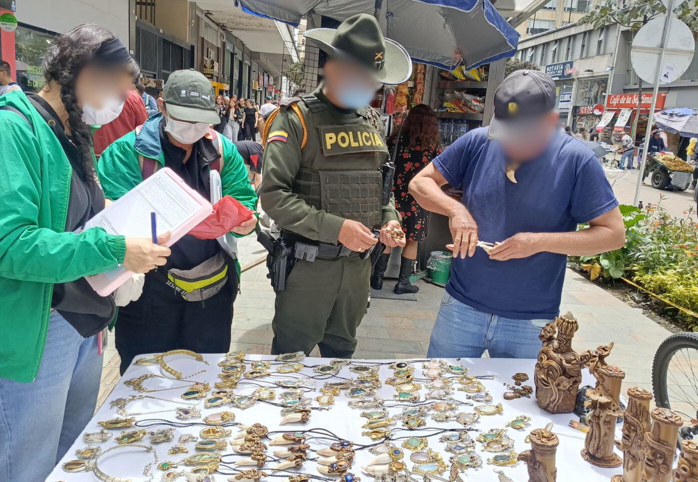 Incautados más de 70 productos de fauna silvestre y plantas de  orquídeas comercializadas de manera ilegal en la vía pública