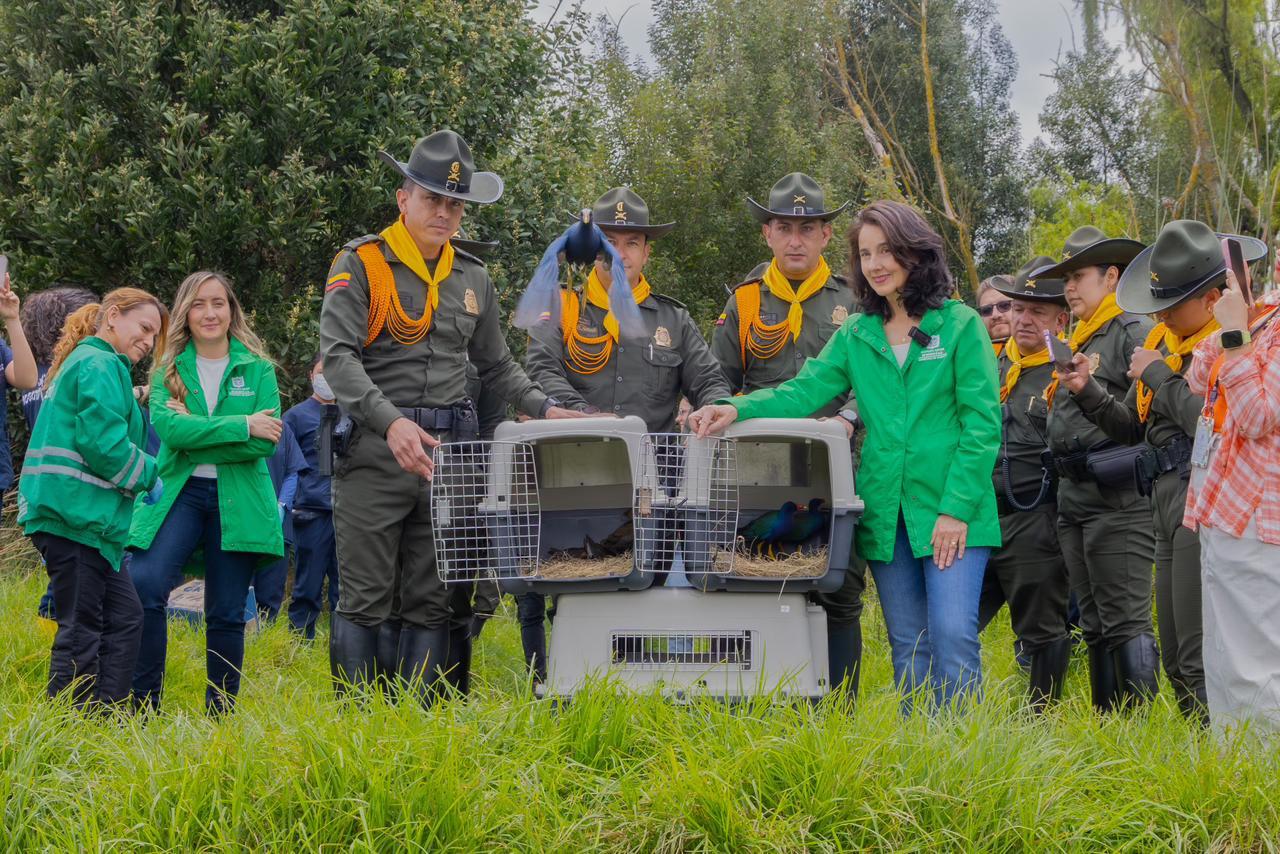 Día Mundial de la Vida Silvestre: Más de 11.000 animales recuperados en la alcaldía Galán