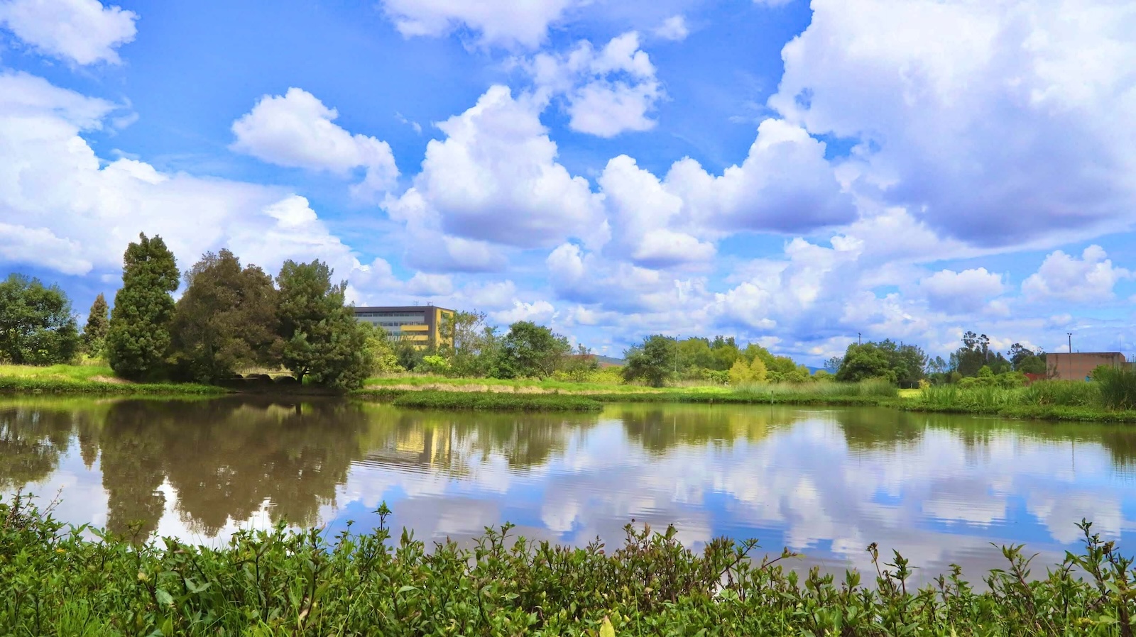 Celebra el Día del Agua con actividades de educación ambiental en Bogotá