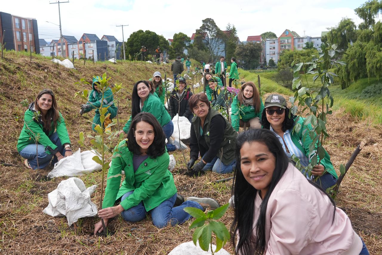 Bogotá avanza en proceso de restauración ecológica: cumplió y superó su meta de sustitución de especies exóticas por nativas en Humedal de Techo