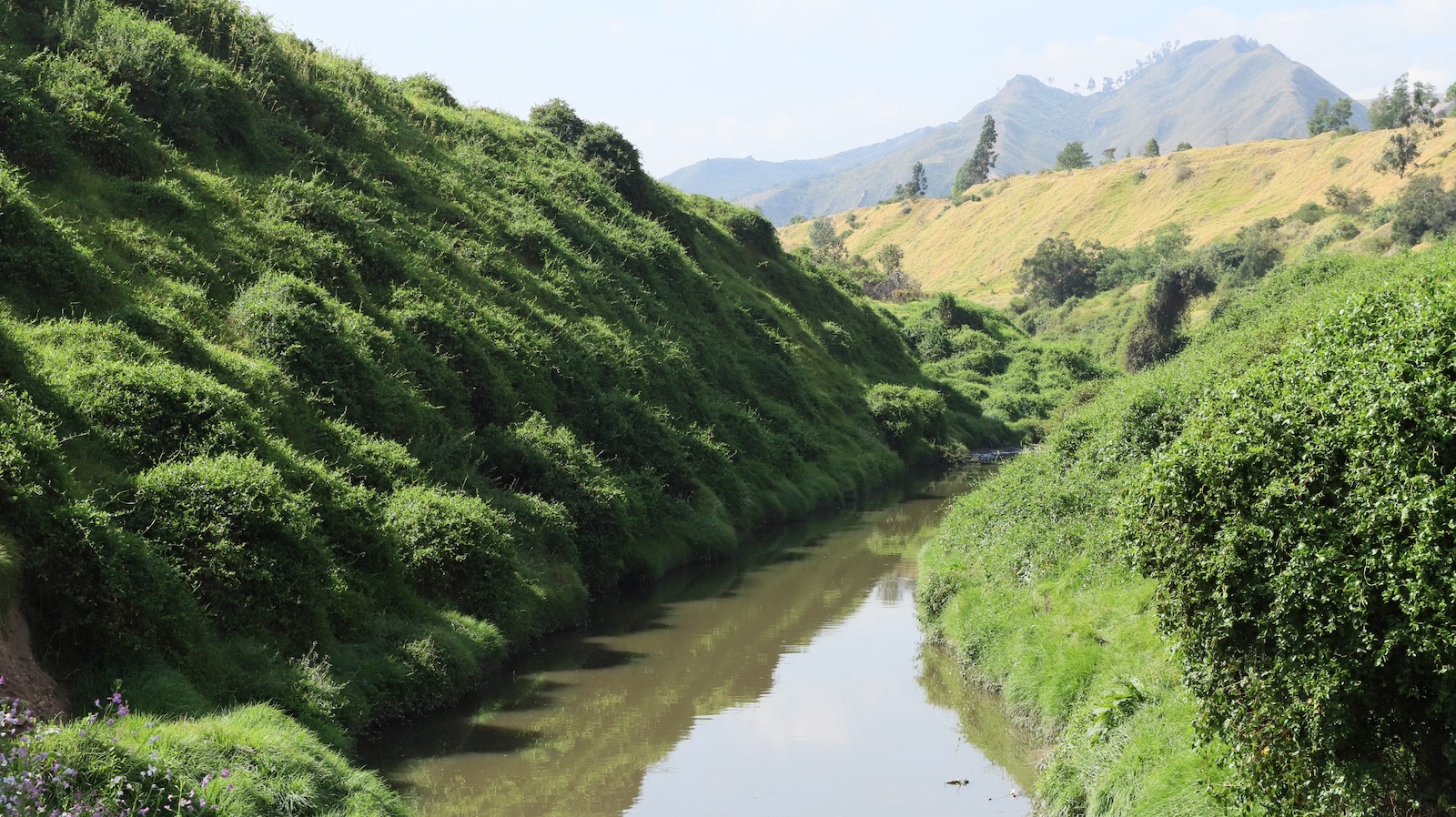 Conservar el agua para Bogotá y su región paga