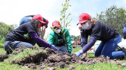 Colaboradores de la Secretaría de Ambiente se unen para reverdecer Bogotá