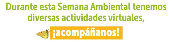 Actividades de la Semana Ambiental y conéctate con nosotros