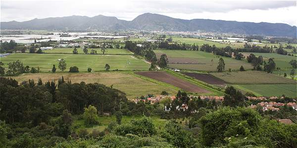 Vamos a acatar las decisiones de las autoridades ambientales frente a la Reserva Van der Hammen
