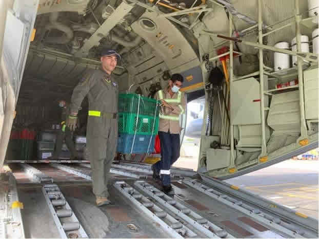 Secretaría de Ambiente liberó 400 animales en el Caribe