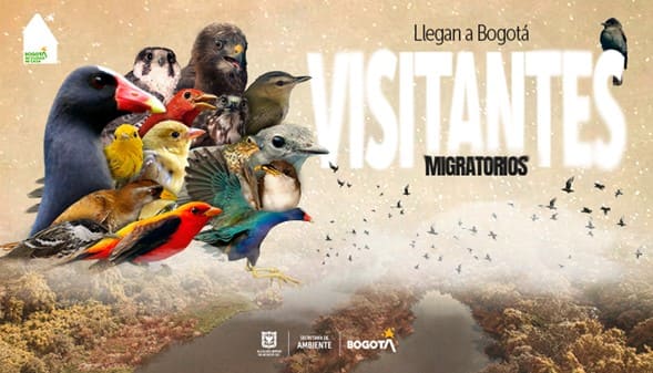 Visitantes Migratorios