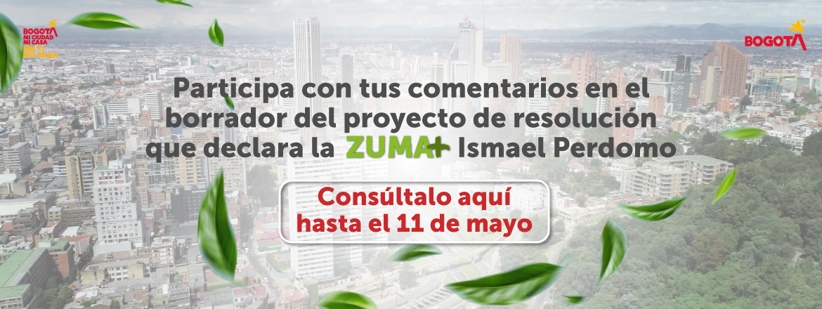 Borrador Zuma Perdomo