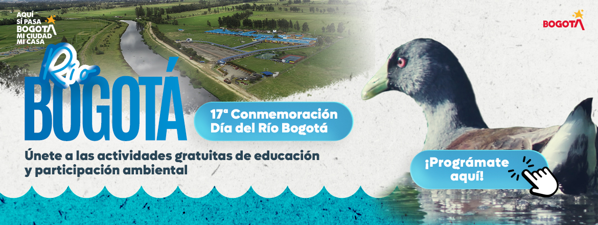 Día del río Bogotá