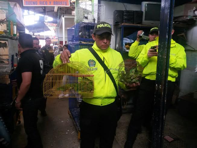 Autoridad ambiental hace llamado para evitar tráfico de fauna silvestre en Semana Santa
