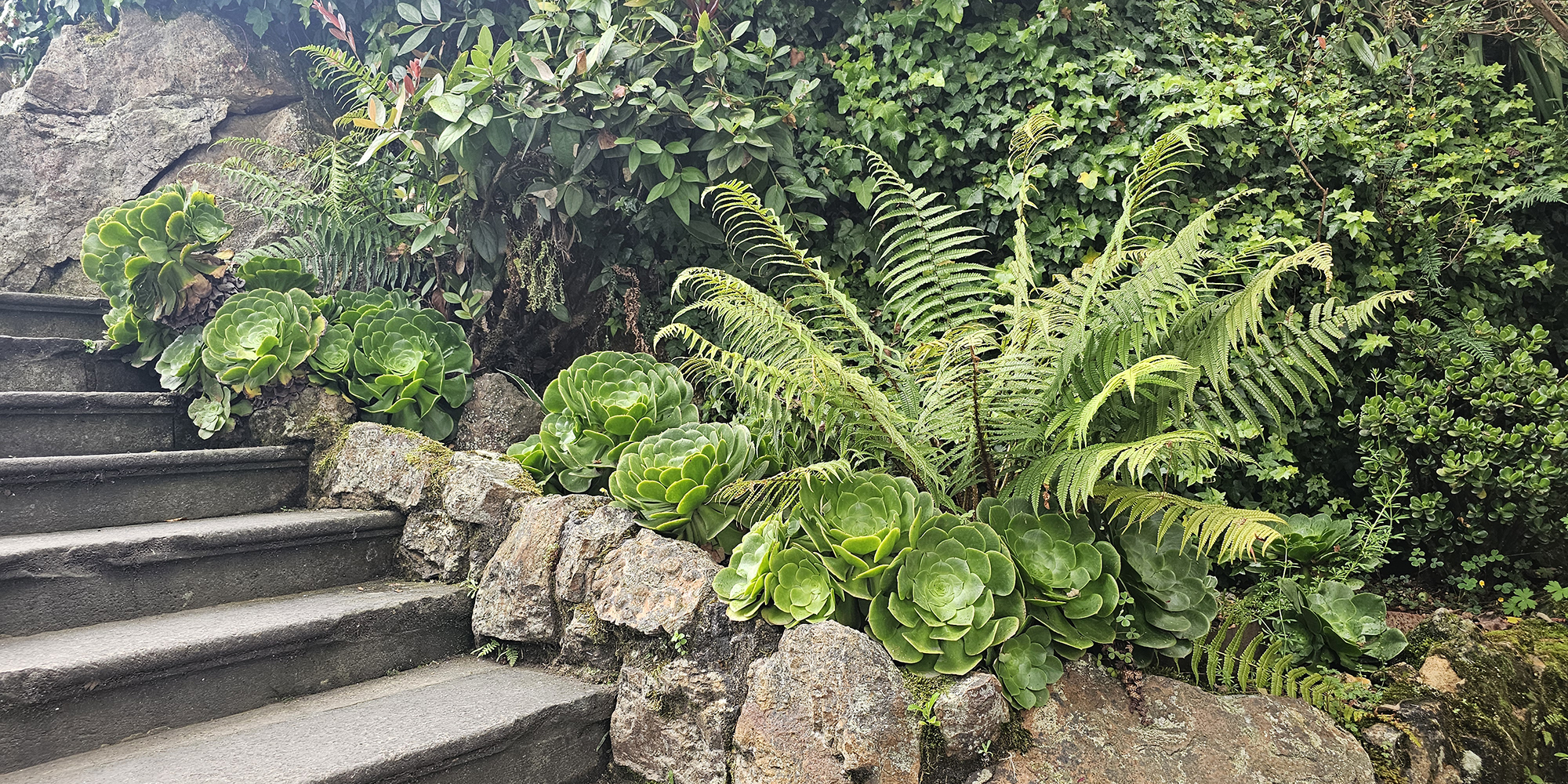 Senderos ambientales con naturaleza en Bogotá