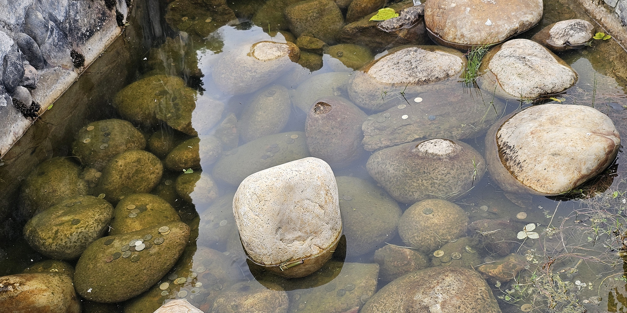 Cuerpo de agua de la Reserva Distrital de Humedal El Salitre