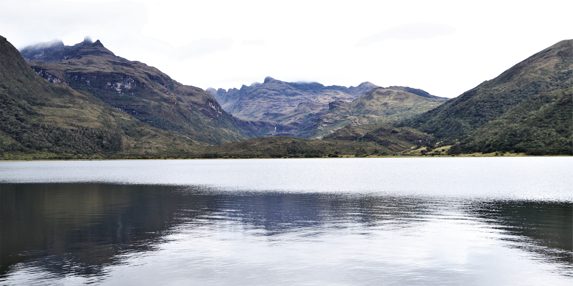 Biodiversidad y restauración ecológica en Bogotá
