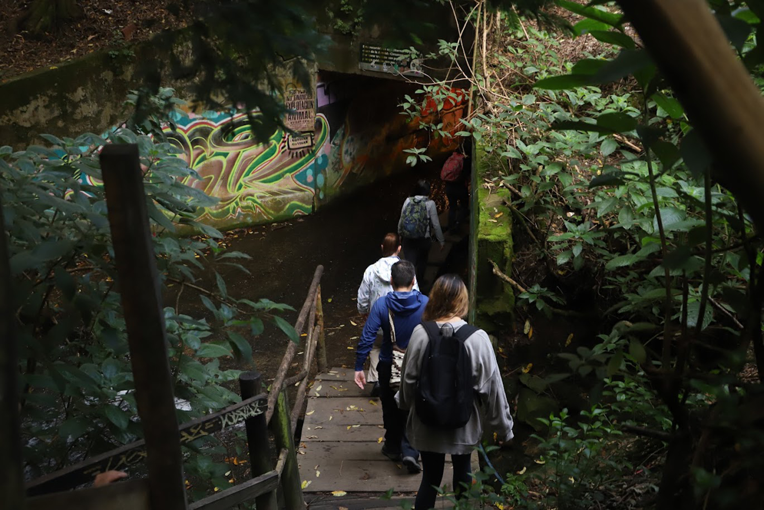 Educación ambiental y participación ciudadana en Bogotá