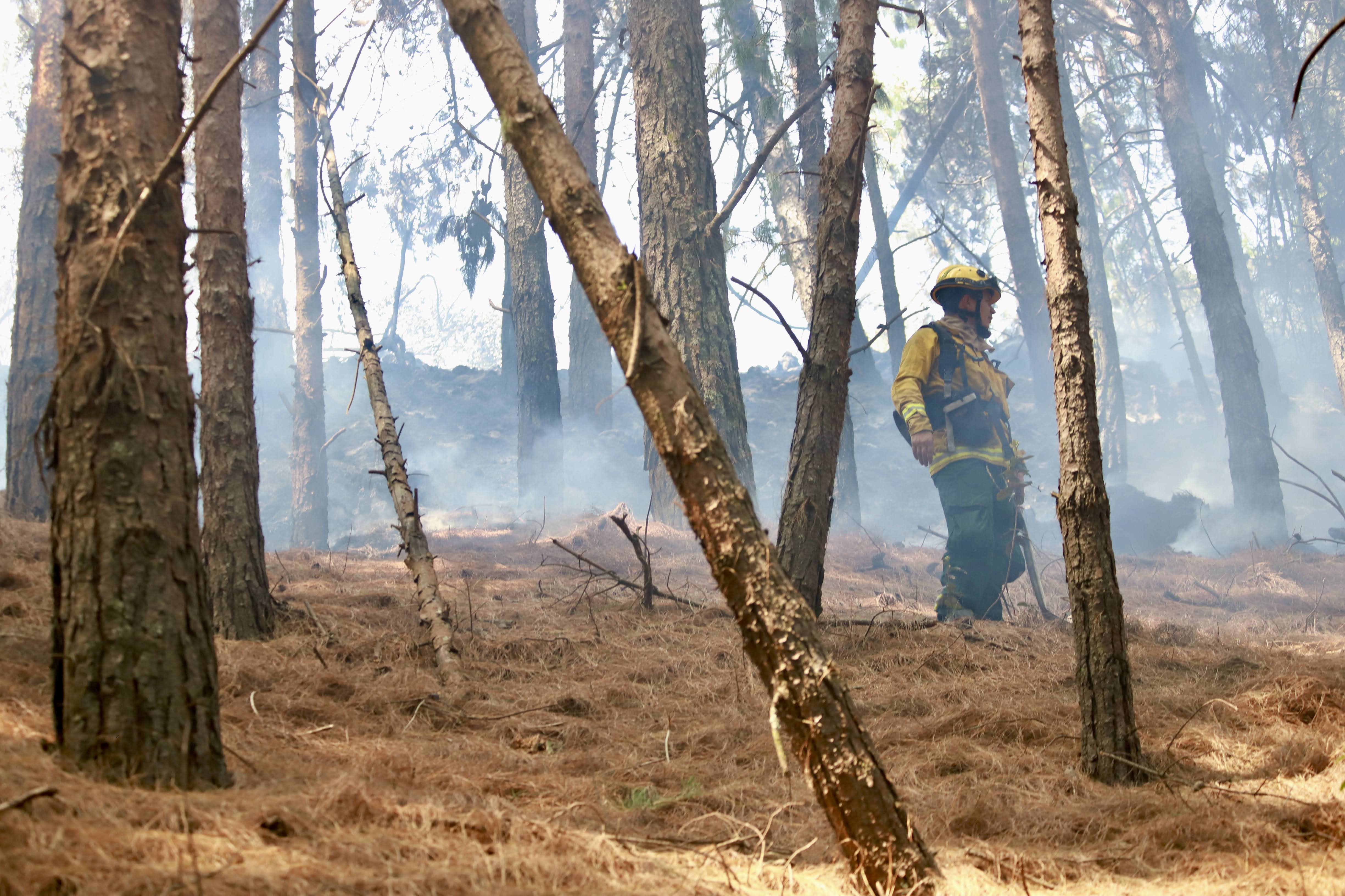 Servicio de respuesta: extinción de incendios