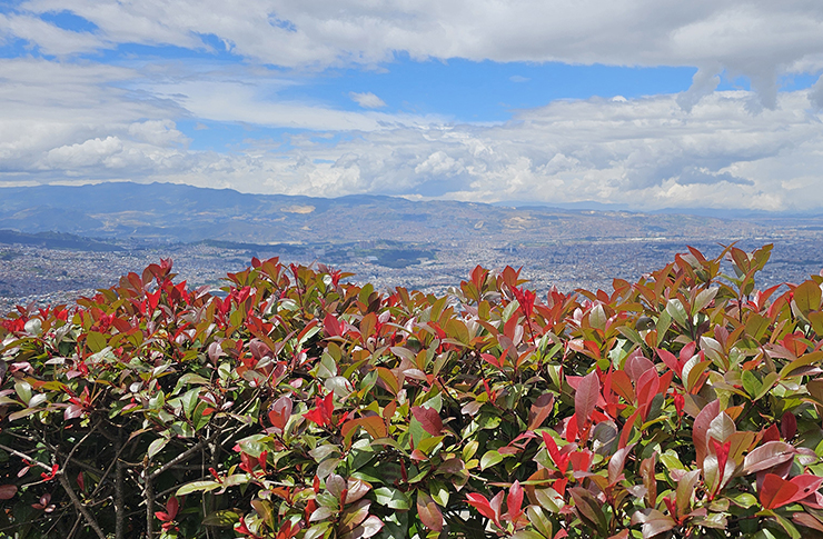 Control ambiental y seguimiento a actividades